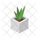 پیش‌نمایش فایل vase-plant-11833995 از پک گیاهان گلدانی