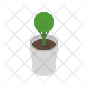 پیش‌نمایش فایل vase-plant-11833996 از پک گیاهان گلدانی