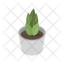 پیش‌نمایش فایل vase-plant-11833998 از پک گیاهان گلدانی