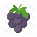 پیش‌نمایش فایل grape-13390312 از پک میوه