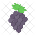 پیش‌نمایش فایل grape-13390313 از پک میوه
