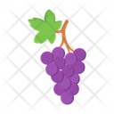 پیش‌نمایش فایل grape-13390314 از پک میوه