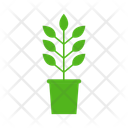 پیش‌نمایش فایل vase-plant-13359720 از پک متفرقه