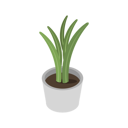 پیش‌نمایش فایل indoor-plant-10715524 از پک متفرقه