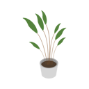پیش‌نمایش فایل plant-vase-10715525 از پک متفرقه