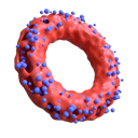 پیش‌نمایش فایل donuts-with-particles-4741914 از پک اشیاء هندسی