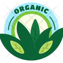 پیش‌نمایش فایل organic-nature-12034407 از پک استیکر سبز