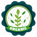 پیش‌نمایش فایل organic-plant-12034404 از پک استیکر سبز
