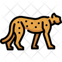 پیش‌نمایش فایل cheetah-4733495 از پک حیوانات