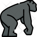 پیش‌نمایش فایل chimpanzee-4733496 از پک حیوانات