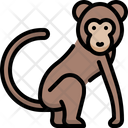 پیش‌نمایش فایل monkey-4733505 از پک حیوانات