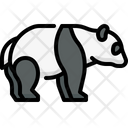 پیش‌نمایش فایل panda-4733506 از پک حیوانات