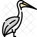 پیش‌نمایش فایل pelican-4733508 از پک حیوانات