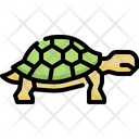 پیش‌نمایش فایل turtle-4733515 از پک حیوانات