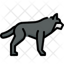 پیش‌نمایش فایل wolf-4733516 از پک حیوانات