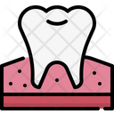 پیش‌نمایش فایل molar-4788898 از پک دندان‌پزشکی