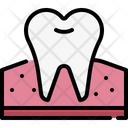 پیش‌نمایش فایل premolar-4788902 از پک دندان‌پزشکی