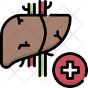 پیش‌نمایش فایل hepatology-4826205 از پک خدمات پزشکی