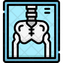 پیش‌نمایش فایل xray-4825692 از پک بیمارستان