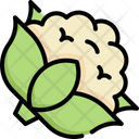 پیش‌نمایش فایل cauliflower-4849739 از پک سبزیجات