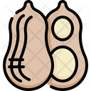 پیش‌نمایش فایل peanut-4849751 از پک سبزیجات