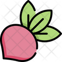 پیش‌نمایش فایل red-radish-4849756 از پک سبزیجات