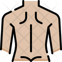 پیش‌نمایش فایل back-4848335 از پک آناتومی اندام‌ها