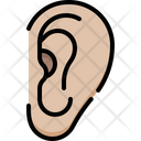 پیش‌نمایش فایل ear-4848342 از پک آناتومی اندام‌ها