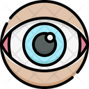 پیش‌نمایش فایل eye-4848345 از پک آناتومی اندام‌ها