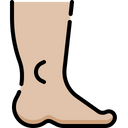 پیش‌نمایش فایل foot-4848347 از پک آناتومی اندام‌ها