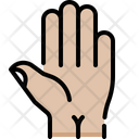 پیش‌نمایش فایل hand-4848349 از پک آناتومی اندام‌ها