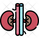 پیش‌نمایش فایل kidneys-4848351 از پک آناتومی اندام‌ها