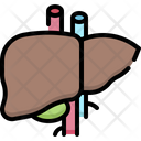 پیش‌نمایش فایل liver-4848354 از پک آناتومی اندام‌ها