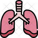 پیش‌نمایش فایل lungs-4848355 از پک آناتومی اندام‌ها