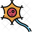 پیش‌نمایش فایل neuron-4848359 از پک آناتومی اندام‌ها
