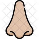 پیش‌نمایش فایل nose-4848360 از پک آناتومی اندام‌ها