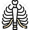 پیش‌نمایش فایل rib-cage-4848365 از پک آناتومی اندام‌ها