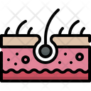 پیش‌نمایش فایل skin-4848366 از پک آناتومی اندام‌ها
