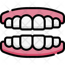 پیش‌نمایش فایل teeth-4848368 از پک آناتومی اندام‌ها