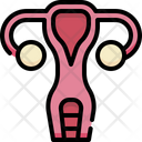 پیش‌نمایش فایل uterus-4848373 از پک آناتومی اندام‌ها