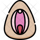 پیش‌نمایش فایل vagina-4848374 از پک آناتومی اندام‌ها