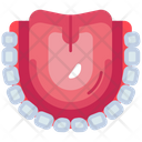 پیش‌نمایش فایل lower-jaw-5425655 از پک مراقبت از دندان