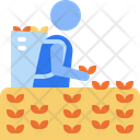آیکن