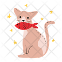 پیش‌نمایش فایل cat-bite-the-fish-doll-5744782 از پک علاقه‌مندان گربه