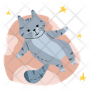 پیش‌نمایش فایل cat-lying-on-a-bean-bag-5744790 از پک علاقه‌مندان گربه