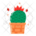 پیش‌نمایش فایل cactus-5738660 از پک گل