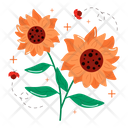 پیش‌نمایش فایل sunflower-5738678 از پک گل