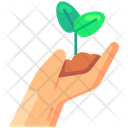 پیش‌نمایش فایل hand-sprout-6450317 از پک باغبانی