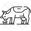 پیش‌نمایش فایل cow-6440801 از پک کشاورزی