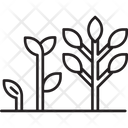 پیش‌نمایش فایل growing-tree-6440820 از پک کشاورزی